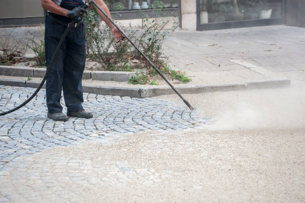 Best Roof Washing  in Hartford, IL